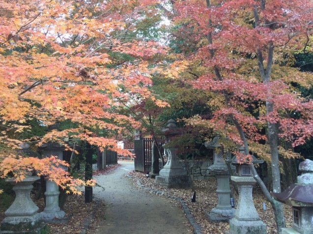 京都紅葉巡り 2 北野天満宮 くう ねる あそぶ のホテル備忘録 京都紅葉巡り 2 北野天満宮 くう ねる あそぶ のホテル備忘録