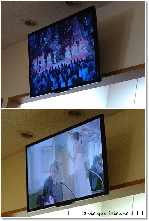 初めての大腸内視鏡検査と結果は。。。自分の検査記録として_a0348473_13090382.jpg
