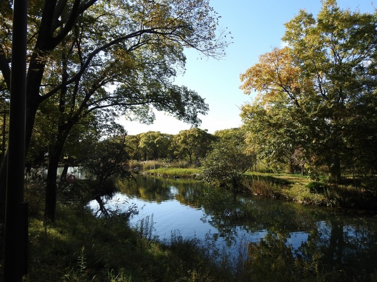 『木曽川水園の風景と木の実達～』_d0054276_20033107.jpg