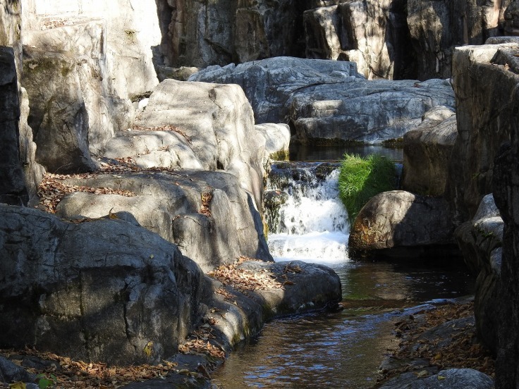 『木曽川水園の風景と木の実達～』_d0054276_20040966.jpg