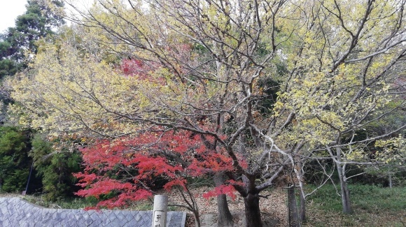 車中泊8日目 六甲山歩き 銭湯_c0212083_18524117.jpg