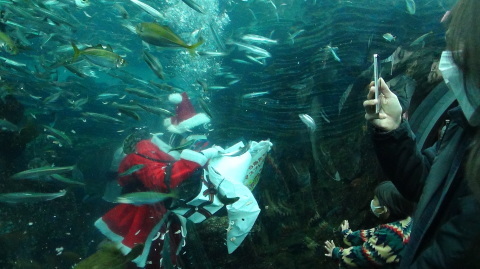 うみがたり水族館！_e0065084_15272406.jpg