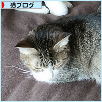 猫猫クイズ、ベッド泥棒編_a0389088_16252475.jpg