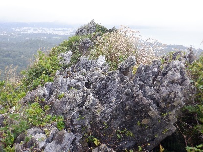 三角山の縦走路の恐怖_e0077899_15422820.jpg