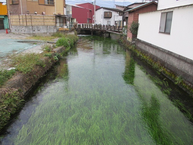 まだまだ水位が高い中で今年最後の「田宿川の川そうじ」_f0141310_08135807.jpg