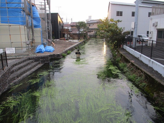 まだまだ水位が高い中で今年最後の「田宿川の川そうじ」_f0141310_08140512.jpg
