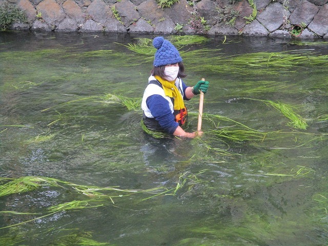 まだまだ水位が高い中で今年最後の「田宿川の川そうじ」_f0141310_08142549.jpg