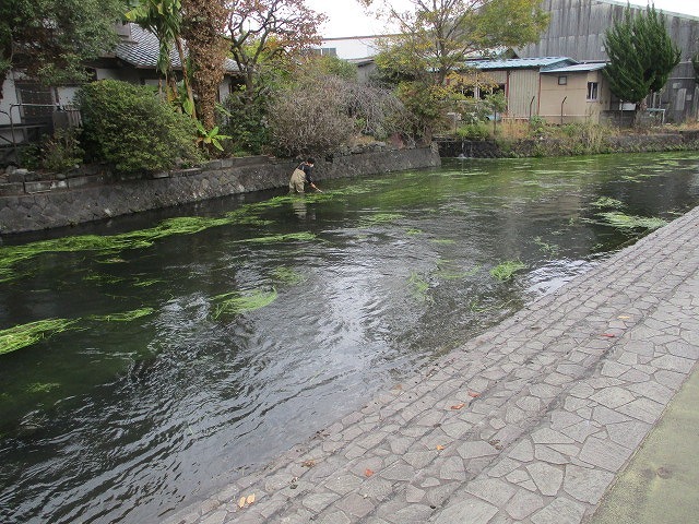 まだまだ水位が高い中で今年最後の「田宿川の川そうじ」_f0141310_08143102.jpg