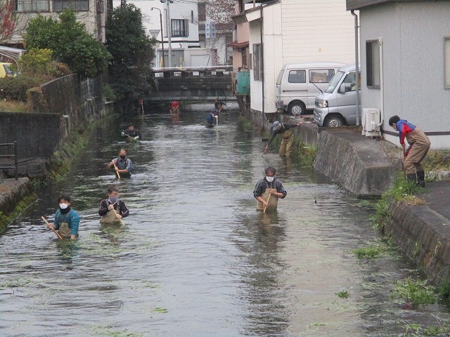 まだまだ水位が高い中で今年最後の「田宿川の川そうじ」_f0141310_08151242.jpg