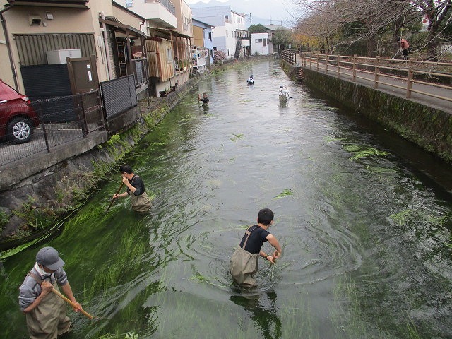 まだまだ水位が高い中で今年最後の「田宿川の川そうじ」_f0141310_08151967.jpg