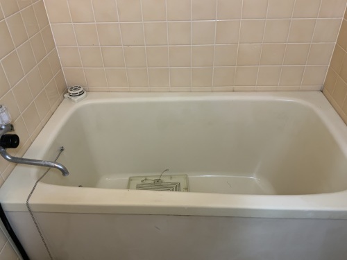 Y物件初日・・・湯垢を超えたレベルだぁ。_f0031037_17481880.jpg
