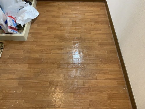 Y物件初日・・・湯垢を超えたレベルだぁ。_f0031037_18274839.jpg