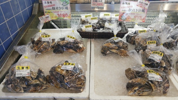 車中泊9日目 神戸市内 木工作業_c0212083_20231666.jpg