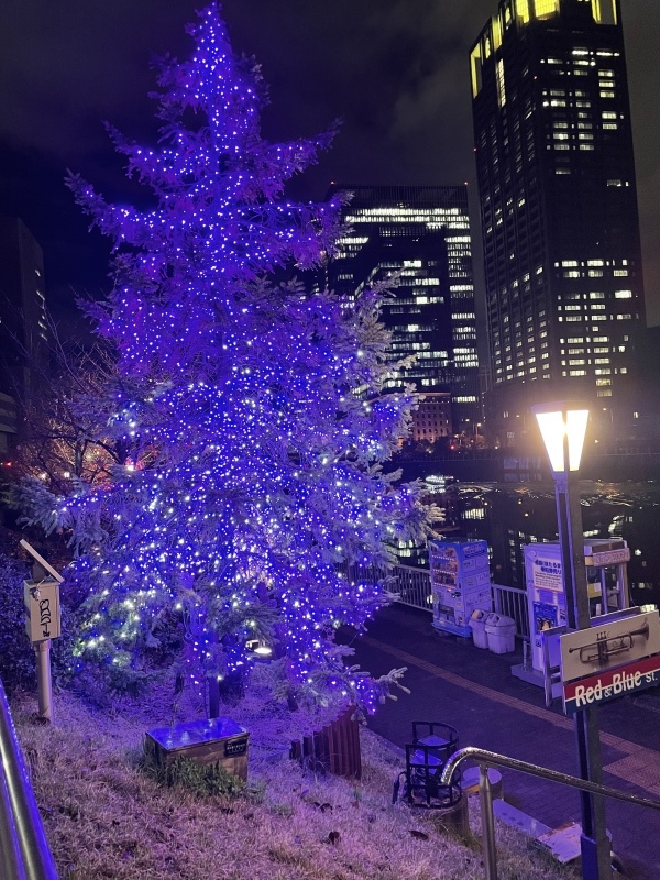体力気力を温存して来年へ NO.771_c0102513_22530987.jpeg