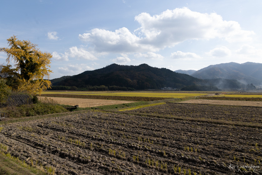 ドライブ日和_c0235725_08161990.jpg