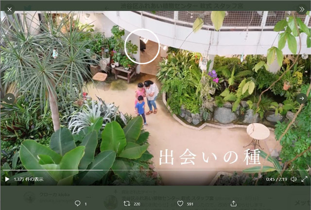 日本一小さな植物園の雄叫び_c0062832_03520222.jpg