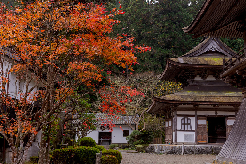 2021紅葉輝く丹波　彩りの慧日寺_f0155048_22001642.jpg