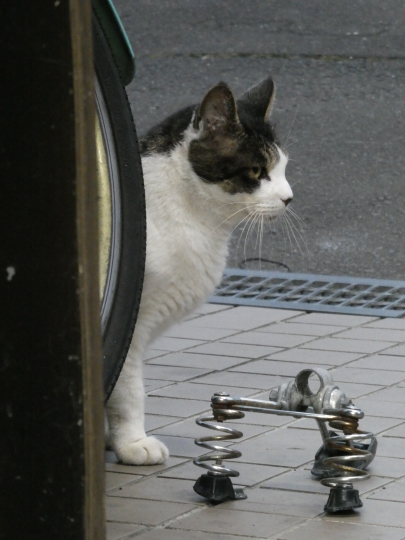 ゆりあげ かわまちてらすまで行ってきました~_e0140354_16353008.jpg