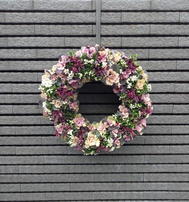ハボタンリースのイベリスの花が咲いて来ました。_a0228333_15454631.jpg