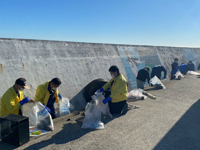 南海浜護岸壁（1000人画廊沿い）不法投棄ボランティア撤去作業_f0229750_14194822.jpg