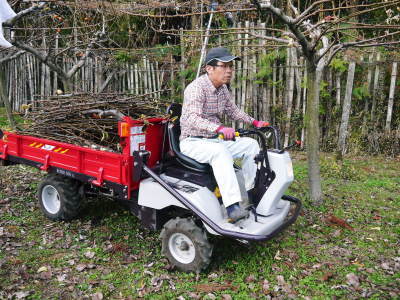 熊本梨 本藤果樹園 令和4年度の本格的な栽培スタート!まずは落葉した果樹に荒剪定を行います。_a0254656_18021160.jpg