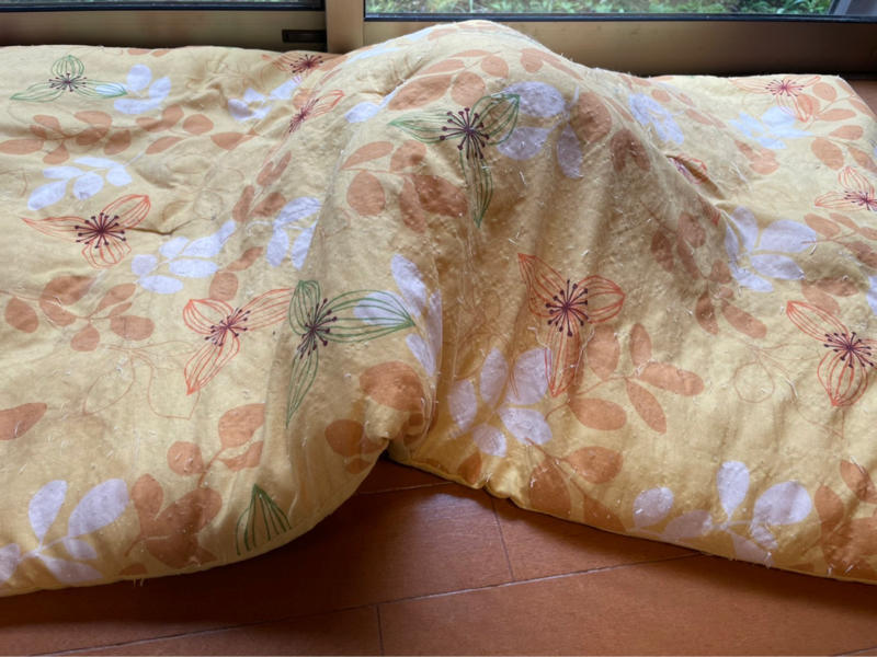今夜21時から生配信 40代シングルマザー子沢山の悩み Npo法人 府中猫の会