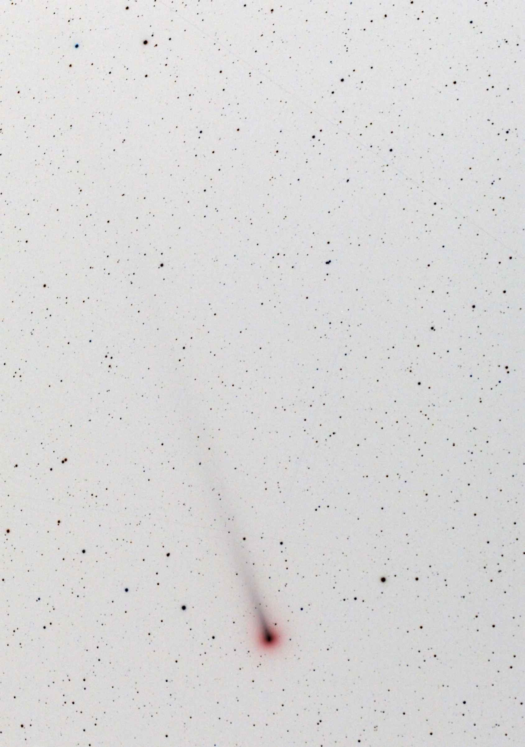 レナード彗星（12月7日未明）_f0347332_12435837.jpg