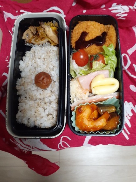マイライフ マイ弁当 浜本隆司ブログ オーロラ ドライブ
