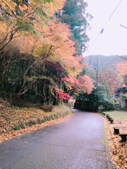 オサレ★カフェ_b0208246_16254630.jpg