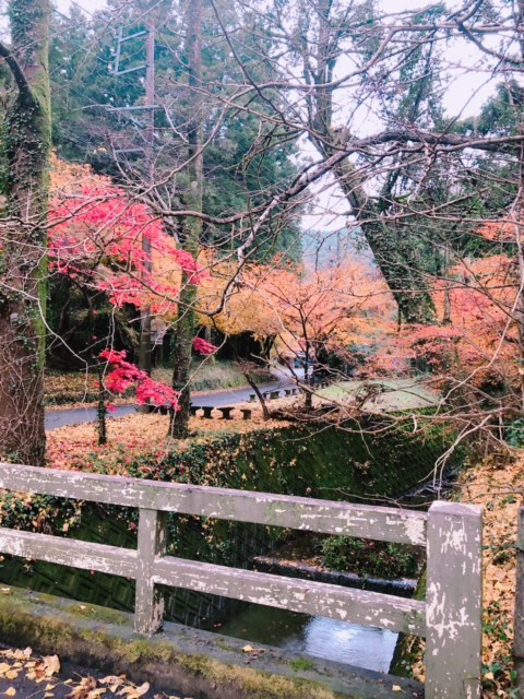 オサレ★カフェ_b0208246_16255527.jpg