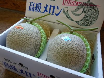 熊本産!匠の高級マスクメロン大好評予約販売受付中!令和3年度の冬期分を本日初出荷しました! _a0254656_17323025.jpg