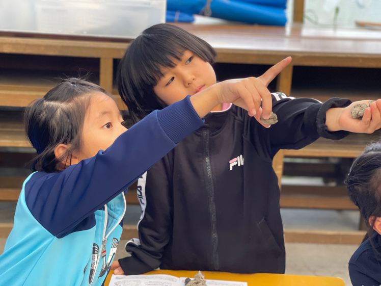 ネコクラブB◆軽石のふしぎ講座(12/04)軽石のふしぎ講座、第3段!火山と軽石、漂着の仕組みを楽しく学ぼう!_d0363878_17271192.jpg