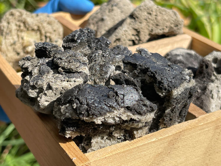 ネコクラブB◆軽石のふしぎ講座(12/04)軽石のふしぎ講座、第3段!火山と軽石、漂着の仕組みを楽しく学ぼう!_d0363878_17291288.jpg