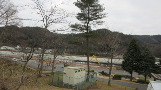 コテージ村の伐採作業2。_b0219993_17185116.jpg
