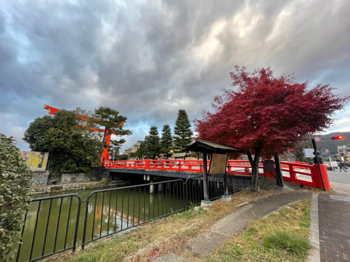 ②京都旅　うつわ巡りと京セラ美術館_b0228252_20584016.jpg