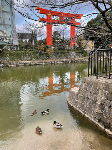 ②京都旅　うつわ巡りと京セラ美術館_b0228252_20584215.jpg