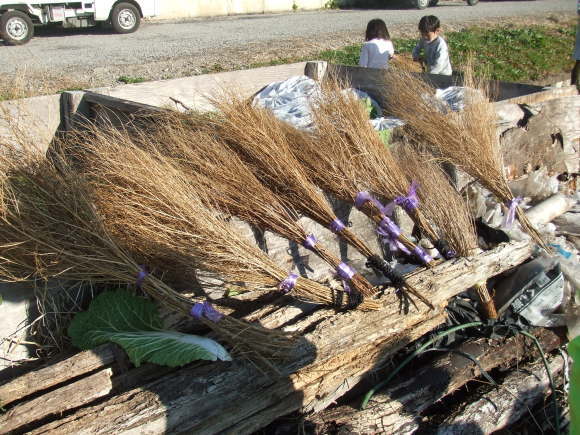 菜の花体験教室12月度_c0145581_19555329.jpg