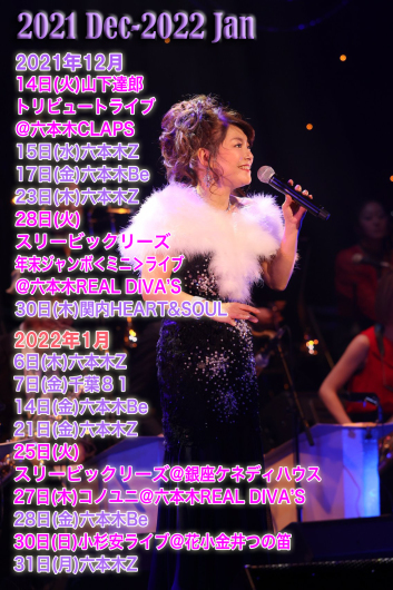 21年12月後半 22年1月のスケジュール オノヒトミ的ブログ