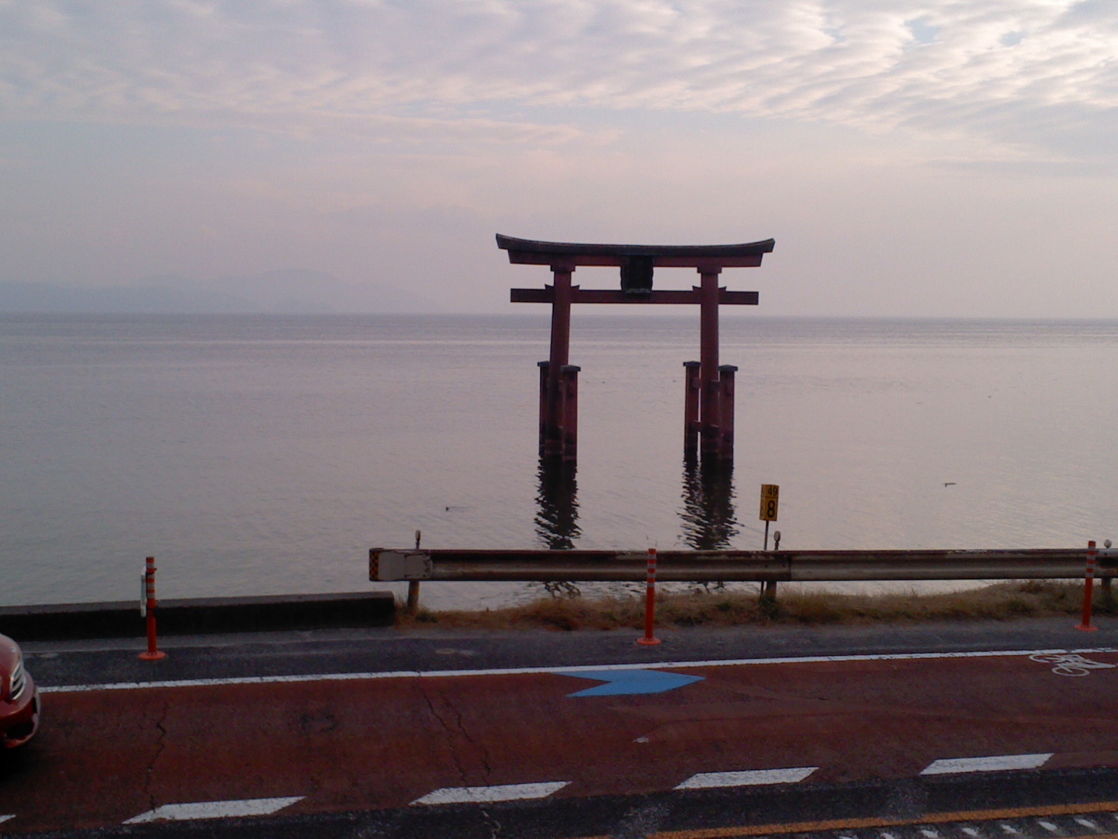 マキノ高原のメタセコイア並木_b0109511_19402306.jpg
