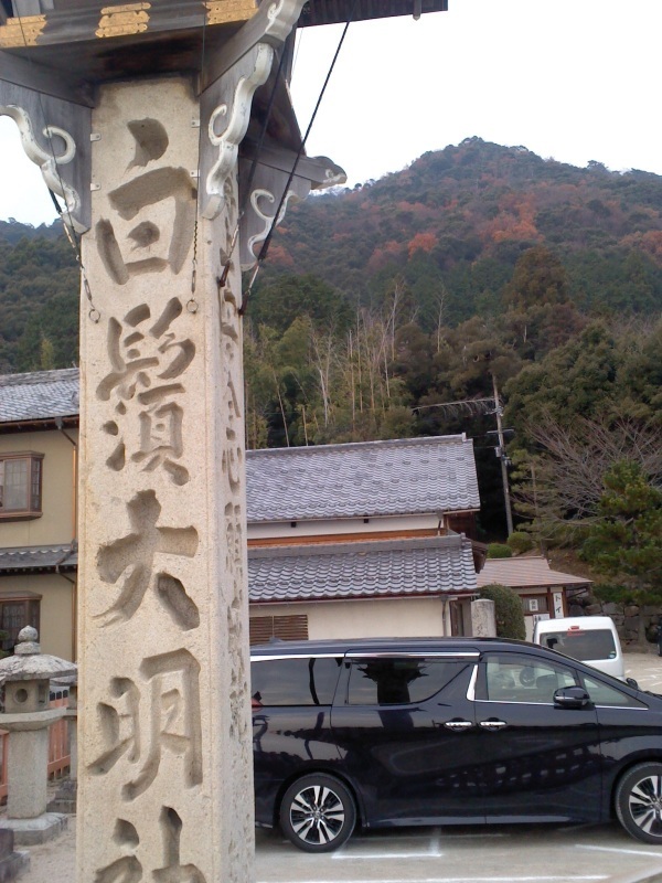 マキノ高原のメタセコイア並木_b0109511_19403085.jpg
