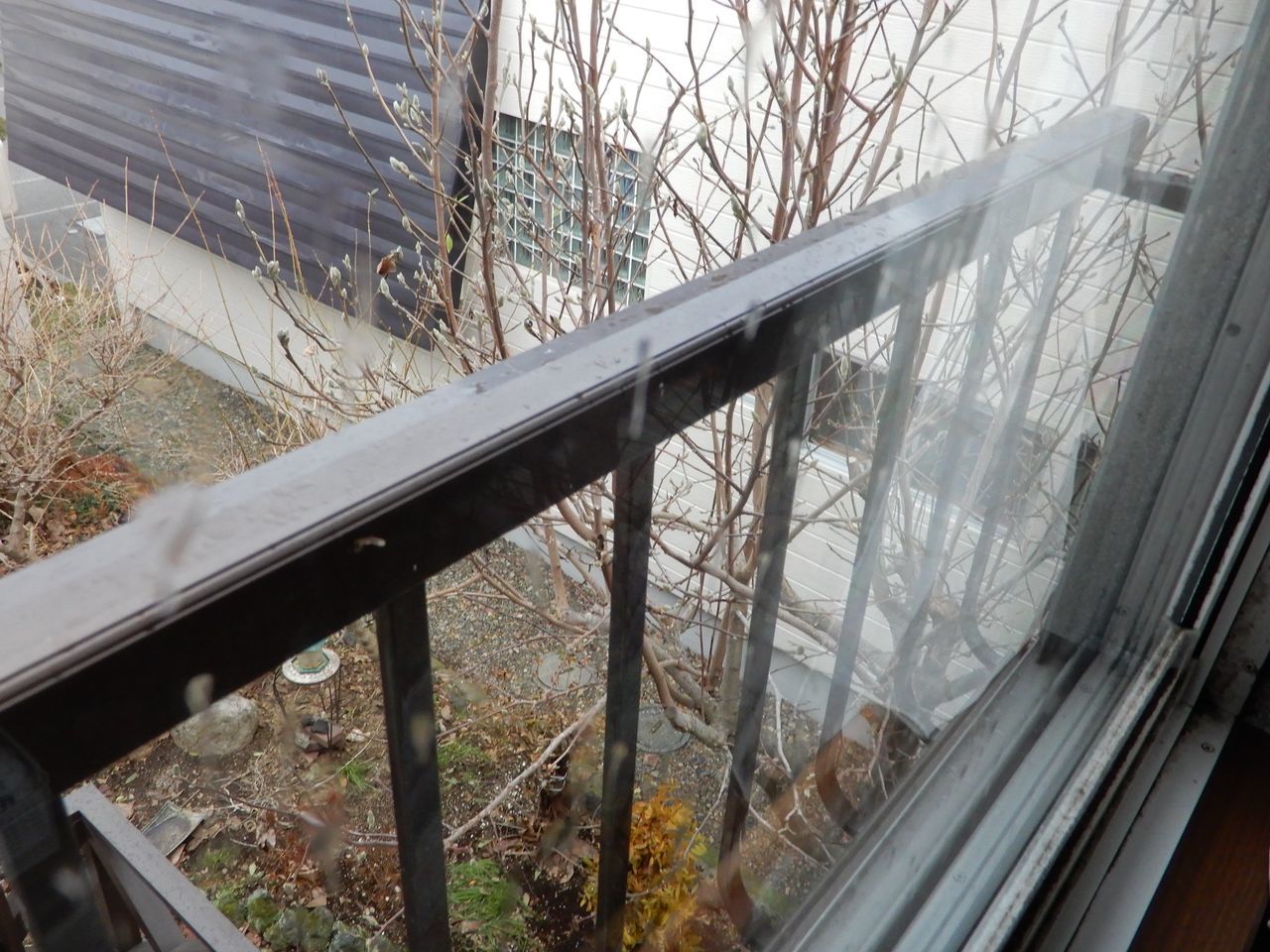 雨が降り出しました_c0025115_21075669.jpg