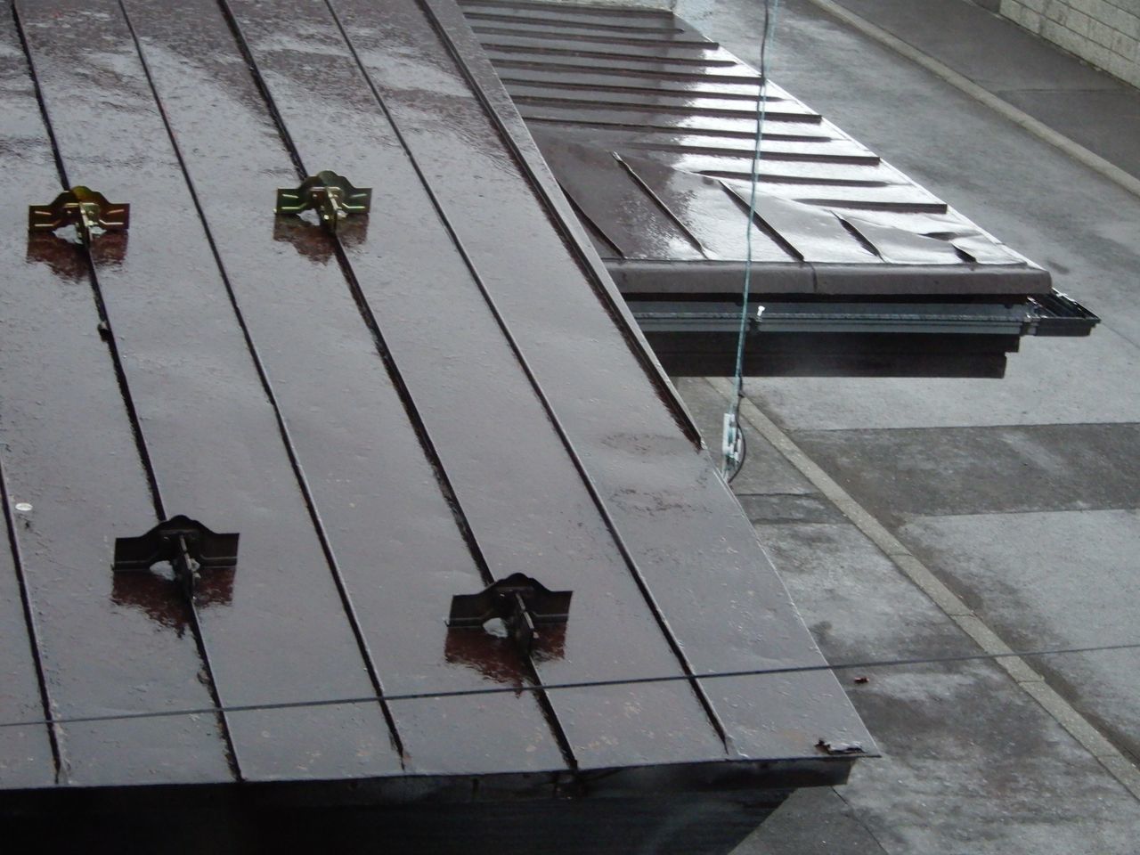 雨が降り出しました_c0025115_21080584.jpg