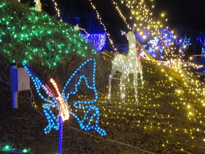 有馬富士公園イルミネーション_b0177436_15215610.jpg