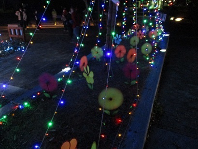 有馬富士公園イルミネーション_b0177436_15232378.jpg