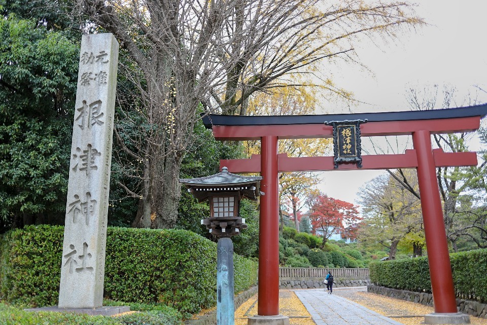 根津神社 スピリチュアル的にも縁起がいい 猫の部屋