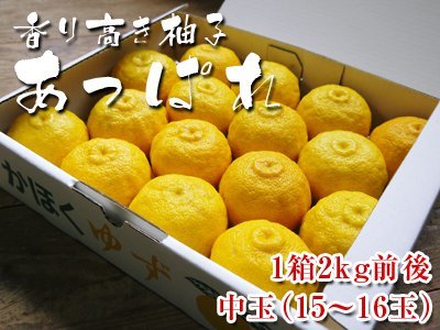 令和5年度の香り高き柚子『あっぱれ』を数量限定追加受注決定!『冬至用柚子』残りわずか早い者勝ち!!_a0254656_17565345.jpg