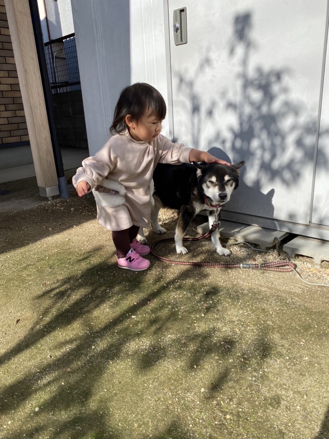 年の瀬忘年会そしてお誕生会_b0100062_16431444.jpeg