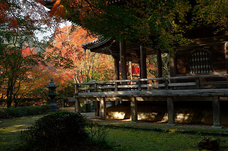2021年京都の紅葉@洛西 金蔵寺・其の二_f0032011_19474261.jpg