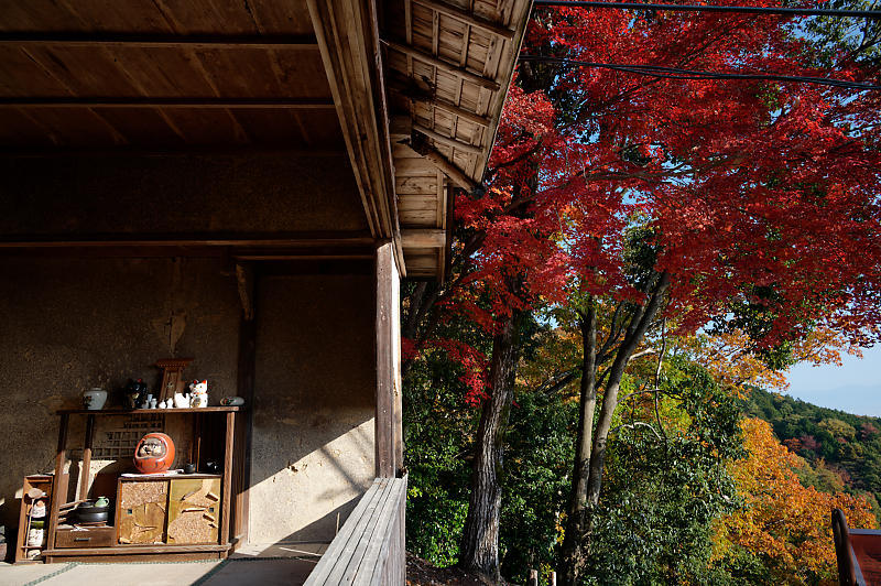 2021年京都の紅葉@洛西 金蔵寺・其の二_f0032011_19474284.jpg