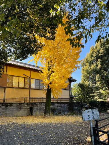 ⑤河井寛次郎記念館と学芸員_b0228252_16292761.jpg